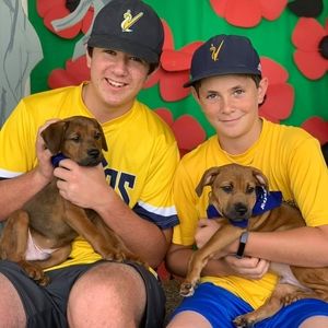 Meet your Posher, David